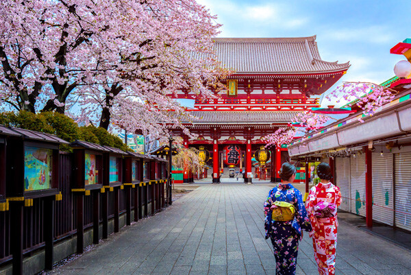 two-geishas-wearing-traditional-japanese-kimono-among-sensoji-temple-in