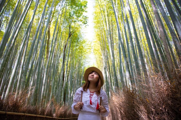 lady-tourist-is-traveling-into-arashiyama-bamboo-forest-in-kyoto--1