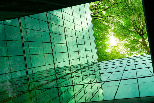 eco-friendly-building-in-the-modern-city-green-tree-branches-with