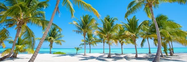 panorama-of-idyllic-tropical-beach-with-palm-trees--white-sand